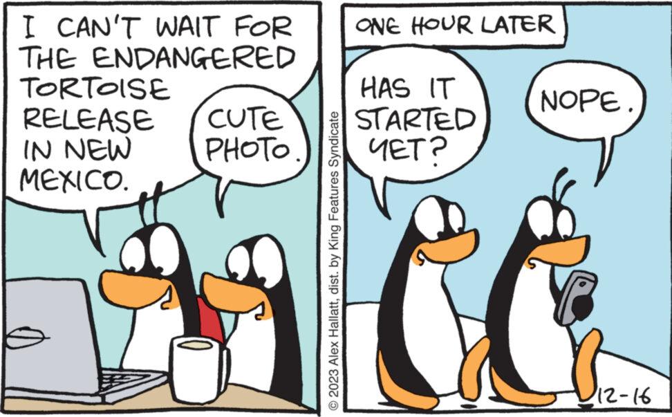 People OCR: I CAN'T WAIT FOR THE ENDANGERED TORTOISE RELEASE IN NEW MEXICO. CUTE PHOTO © 2023 Alex Hallattdist. by King Features Syndicate ONE HOUR LATER HAS IT STARTED ???? NOPE 12-16 I CAN'T WAIT FOR THE ENDANGERED TORTOISE RELEASE IN NEW MEXICO . CUTE PHOTO © 2023 Alex Hallattdist . by King Features Syndicate ONE HOUR LATER HAS IT STARTED ??? ? NOPE 12-16