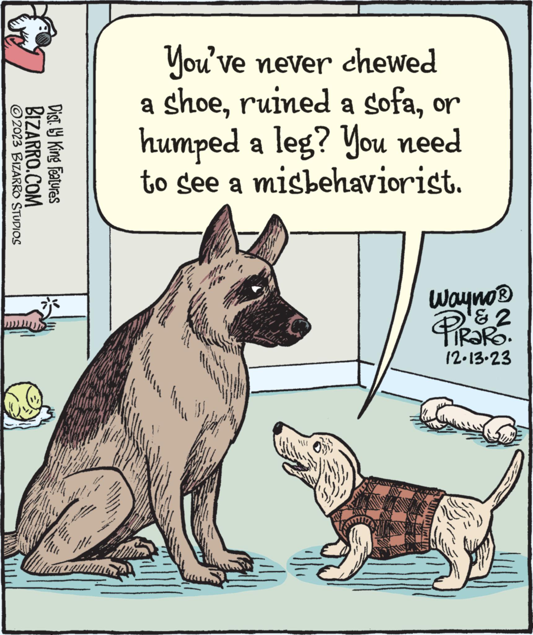 Terrestrial animal OCR: ?2023 BIZARRO STUDIOS BIZARRO.COM D Dist. by King Features You've never chewed a shoeor humped a leg? you need to see a misbehaviorist. Wayno ? D&2 TIRARO. 12.13.23 MENIT V ?2023 BIZARRO STUDIOS BIZARRO.COM D Dist . by King Features You've never chewed a shoeruined a sofaor humped a leg ? you need to see a misbehaviorist . Wayno ? D & 2 TIRARO . 12.13.23 MENIT V