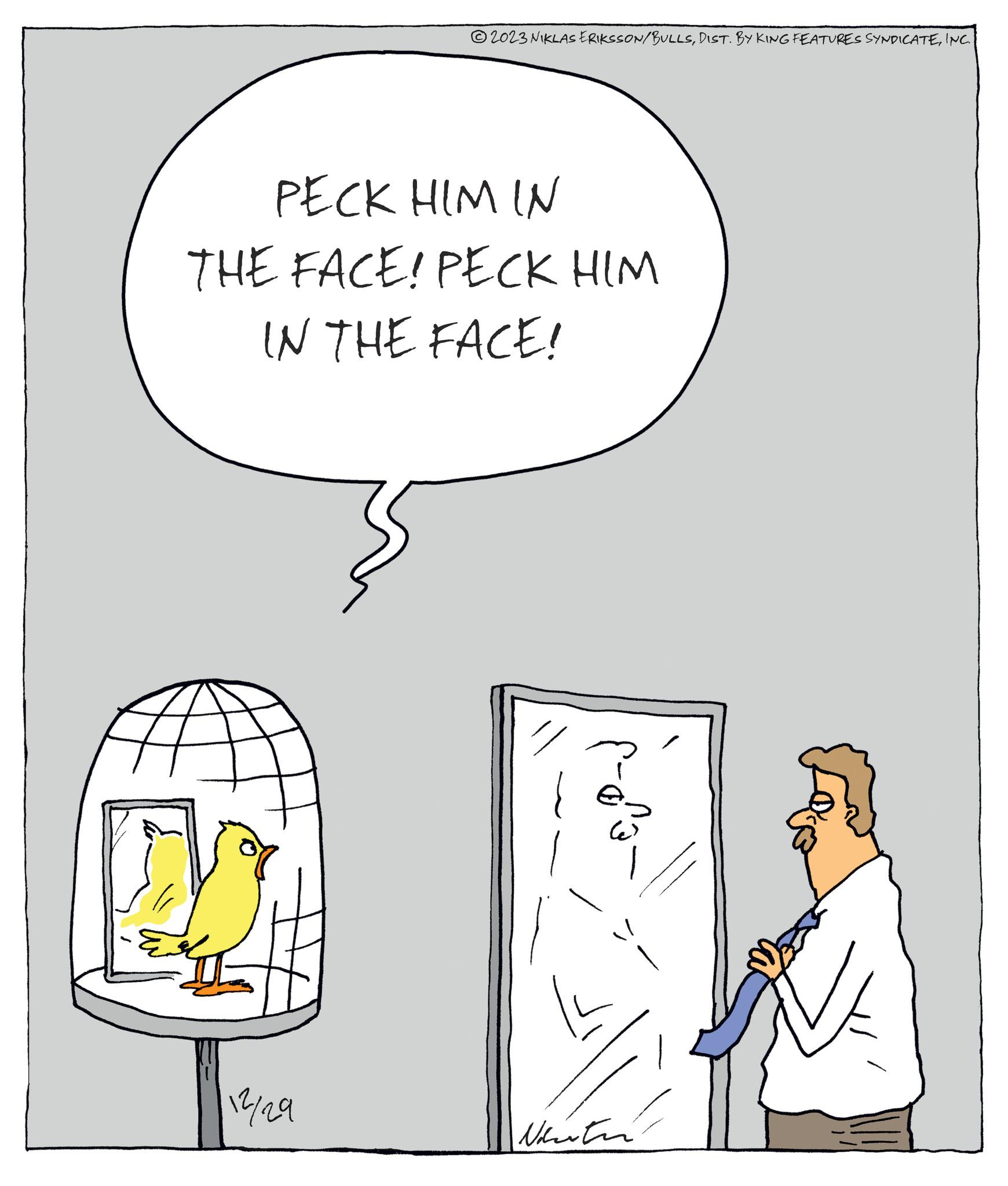 Drawing OCR: 2023 NIKLAS ERIKSSON/BULLSINC. PECK HIM IN THE FACE! PECK HIM IN THE FACE! 12/29 "/ Neister 2023 NIKLAS ERIKSSON / BULLSDIST . BY KING FEATURES SYNDICATEINC . PECK HIM IN THE FACE ! PECK HIM IN THE FACE ! 12/29 " / Neister