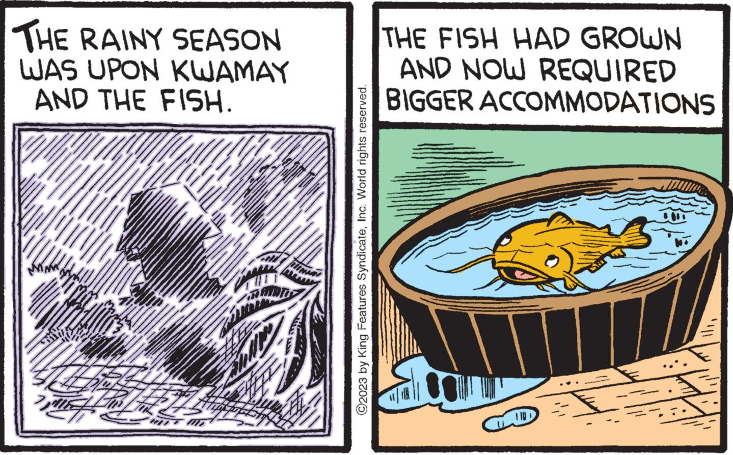 Humour OCR: THE RAINY SEASON WAS UPON KWAMAY AND THE FISH. TUREN 415 TENTANG B ©2023 by King Features SyndicateInc. World rights reserved. THE FISH HAD GROWN AND NOW REQUIRED BIGGER ACCOMMODATIONS THE RAINY SEASON WAS UPON KWAMAY AND THE FISH . TUREN 415 TENTANG B © 2023 by King Features SyndicateInc. World rights reserved . THE FISH HAD GROWN AND NOW REQUIRED BIGGER ACCOMMODATIONS