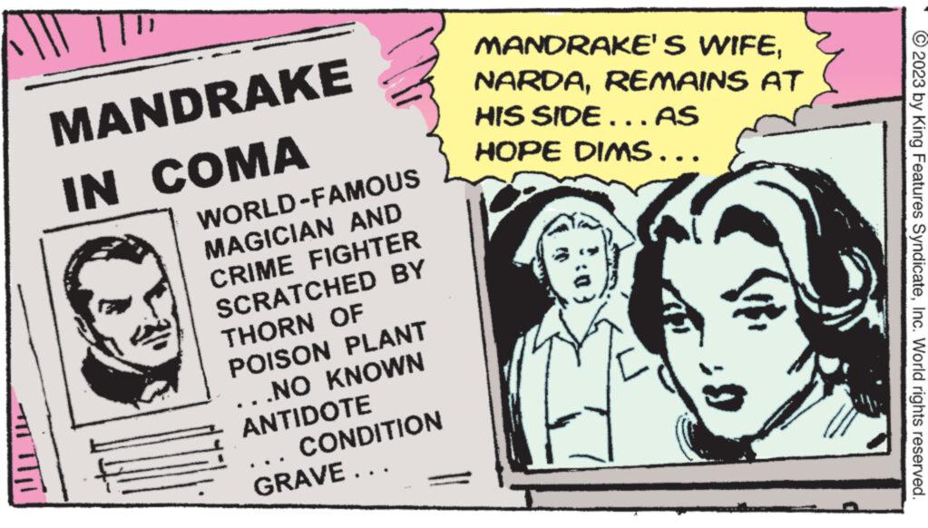 Illustration OCR: || MANDRAKE IN COMA WORLD-FAMOUS MAGICIAN AND CRIME FIGHTER SCRATCHED BY THORN OF POISON PLANT .NO KNOWN ANTIDOTE CONDITION GRAVE... MANDRAKE'S WIFEREMAINS AT HIS SIDE ……..AS HOPE DIMS... © 2023 by King Features SyndicateInc. World rights reserved. || MANDRAKE IN COMA WORLD - FAMOUS MAGICIAN AND CRIME FIGHTER SCRATCHED BY THORN OF POISON PLANT .NO KNOWN ANTIDOTE CONDITION GRAVE ... MANDRAKE'S WIFEREMAINS AT HIS SIDE …… ..AS HOPE DIMS ... © 2023 by King Features SyndicateInc. World rights reserved .
