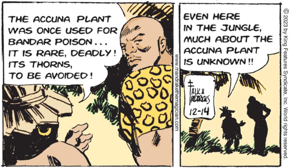 Comic book OCR: THE ACCUNA PLANT WAS ONCE USED FOR BANDAR POISON… IT IS RAREDEADLY! ITS THORNSTO BE AVOIDED! www.mandrakethemagician.com EVEN HERE IN THE JUNGLEMUCH ABOUT THE ACCUNA PLANT IS UNKNOWN !! REDERICKS 12-14 © 2023 by King Features SyndicateInc. World rights reserved. THE ACCUNA PLANT WAS ONCE USED FOR BANDAR POISON … IT IS RAREDEADLY ! ITS THORNSTO BE AVOIDED ! www.mandrakethemagician.com EVEN HERE IN THE JUNGLEMUCH ABOUT THE ACCUNA PLANT IS UNKNOWN !! REDERICKS 12-14 © 2023 by King Features SyndicateInc. World rights reserved .