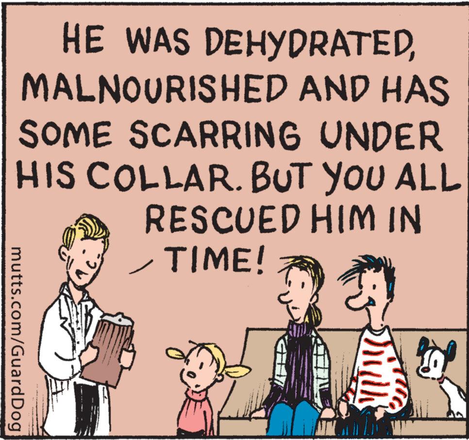 Adaptation OCR: HE WAS DEHYDRATEDMALNOURISHED AND HAS SOME SCARRING UNDER HIS COLLAR. BUT YOU ALL RESCUED HIM IN TIME! mutts.com/Guard Dog HE WAS DEHYDRATEDMALNOURISHED AND HAS SOME SCARRING UNDER HIS COLLAR . BUT YOU ALL RESCUED HIM IN TIME ! mutts.com/Guard Dog