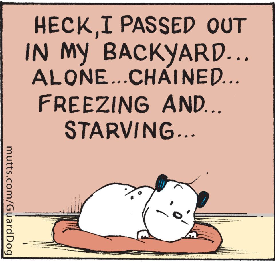 Illustration OCR: mutts.com/Guard Dog HECKI PASSED OUT IN MY BACKYARD... ALONE…..CHÁINED... FREEZING AND... STARVING... — mutts.com/Guard Dog HECKI PASSED OUT IN MY BACKYARD ... ALONE … ..CHÁINED ... FREEZING AND ... STARVING ... —