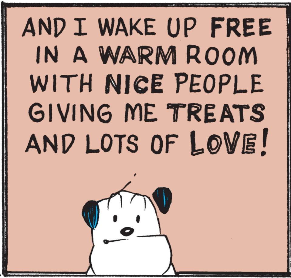 Pleased OCR: AND I WAKE UP FREE IN A WARM ROOM WITH NICE PEOPLE GIVING ME TREATS AND LOTS OF LOVE! AND I WAKE UP FREE IN A WARM ROOM WITH NICE PEOPLE GIVING ME TREATS AND LOTS OF LOVE !
