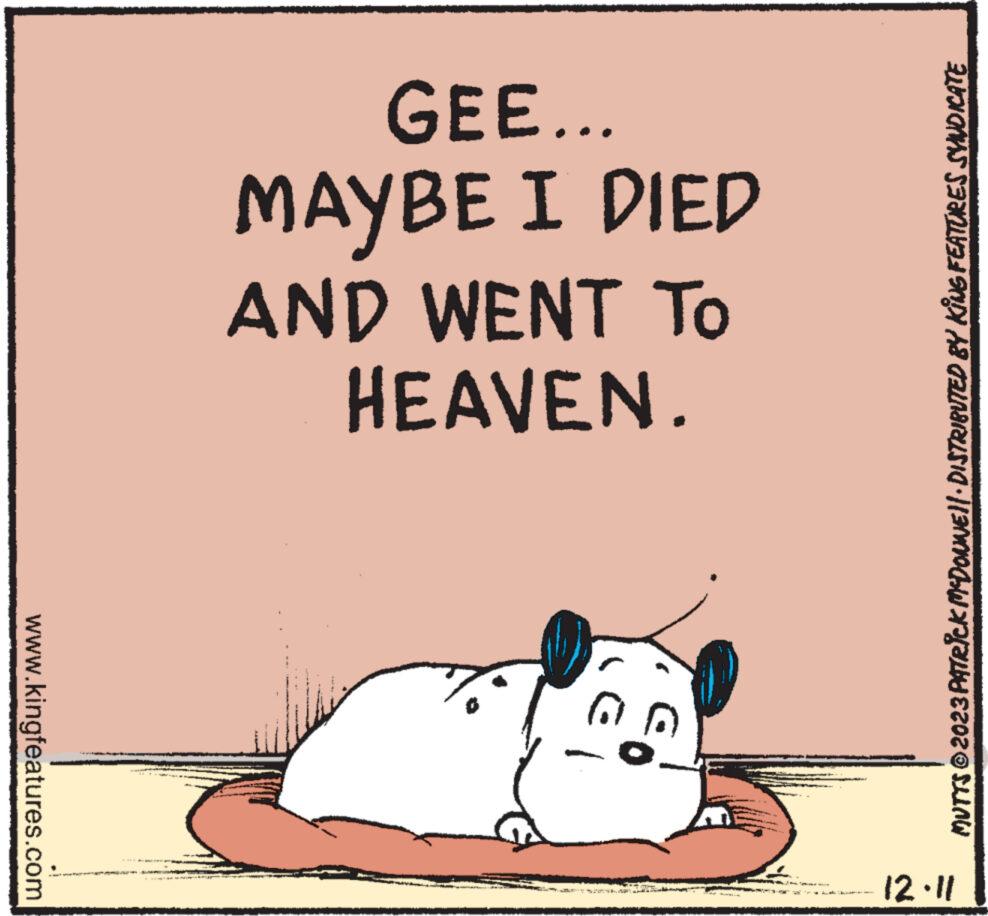 Rodent OCR: www.kingfeatures.com GEE... MAYBE I DIED AND WENT TO HEAVEN. W pr MUTTS © 2023 PATRICK MCDONNE||· DISTRIBUTED BY KING FEATURES SYNDICATE 12.11 www.kingfeatures.com GEE ... MAYBE I DIED AND WENT TO HEAVEN . W pr MUTTS © 2023 PATRICK MCDONNE || · DISTRIBUTED BY KING FEATURES SYNDICATE 12.11