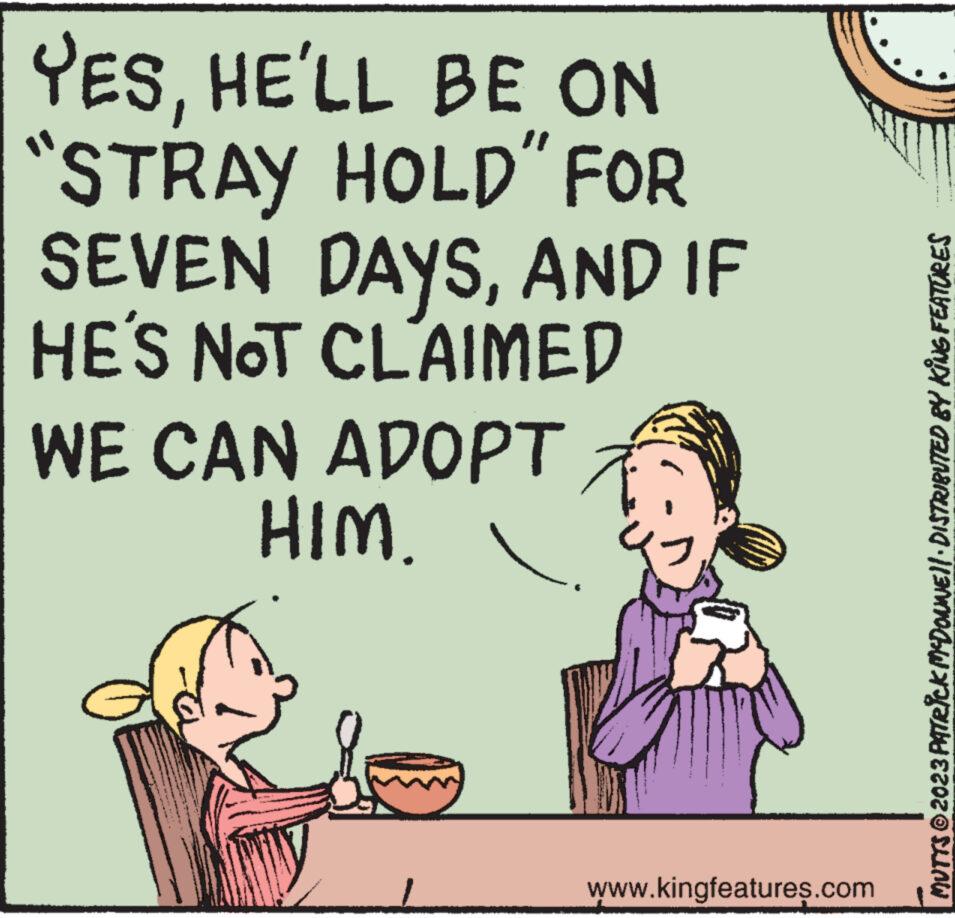 Art OCR: YESHE'LL BE ON "STRAY HOLD" FOR SEVEN DAYSAND IF HE'S NOT CLAIMED WE CAN ADOPT HIM. www.kingfeatures.com MUTTS © 2023 PATRICK MCDONNE||· DISTRIBUTED BY KING FEATURES YESHE'LL BE ON " STRAY HOLD " FOR SEVEN DAYSAND IF HE'S NOT CLAIMED WE CAN ADOPT HIM . www.kingfeatures.com MUTTS © 2023 PATRICK MCDONNE || · DISTRIBUTED BY KING FEATURES