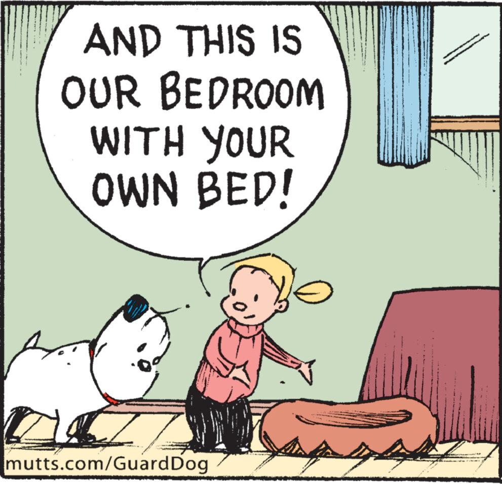 Happy OCR: AND THIS IS OUR BEDROOM WITH YOUR OWN BED! I mutts.com/Guard Dog AND THIS IS OUR BEDROOM WITH YOUR OWN BED ! I mutts.com/Guard Dog