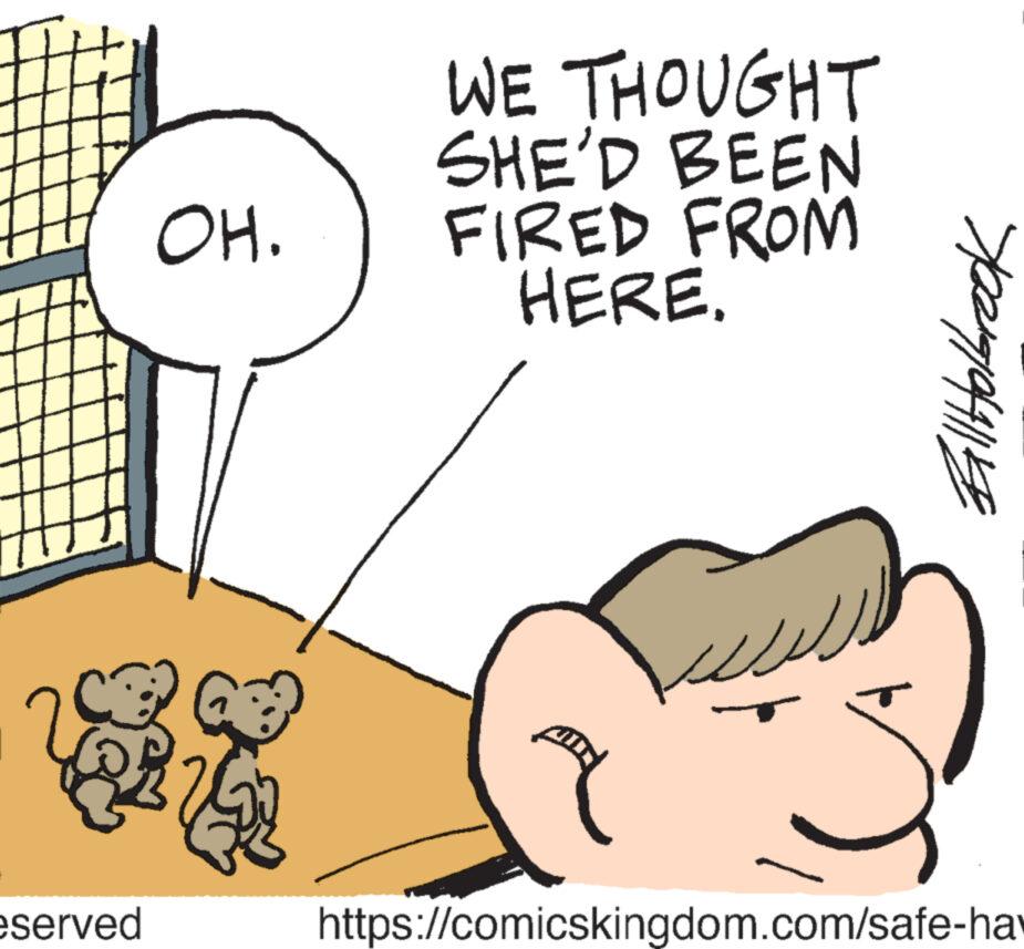 Sharing OCR: eserved OH. WE THOUGHT SHE'D BEEN FIRED FROM HERE. III FallHolbrook https://comicskingdom.com/safe-ha eserved OH . WE THOUGHT SHE'D BEEN FIRED FROM HERE . III FallHolbrook https://comicskingdom.com/safe-ha