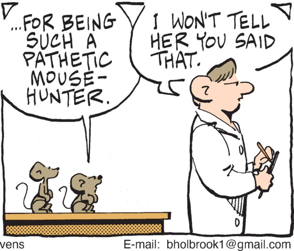 Font OCR: V ... FOR BEING SUCH A PATHETIC MOUSE- HUNTER. 22 vens I WON'T TELL HER YOU SAID THAT. s 2 E-mail: bholbrook1@gmail.com V ... FOR BEING SUCH A PATHETIC MOUSE HUNTER . 22 vens I WON'T TELL HER YOU SAID THAT . s 2 E - mail : bholbrook1@gmail.com