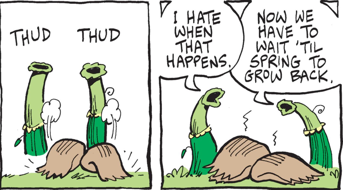 Line OCR: THUD THUD ???? I HATE WHEN THAT HAPPENS. KELA NOW WE HAVE TO WAIT "TIL SPRING TO GROW BACK{ M THUD THUD ???? I HATE WHEN THAT HAPPENS . KELA NOW WE HAVE TO WAIT " TIL SPRING TO GROW BACK{ M