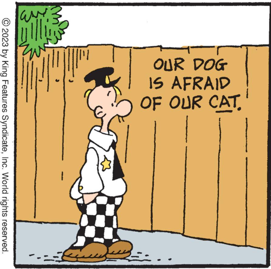 Art OCR: © 2023 by King Features SyndicateInc. World rights reserved. are yilli Eu Gall OUR DOG IS AFRAID OF OUR CAT © 2023 by King Features SyndicateInc. World rights reserved . are yilli Eu Gall OUR DOG IS AFRAID OF OUR CAT