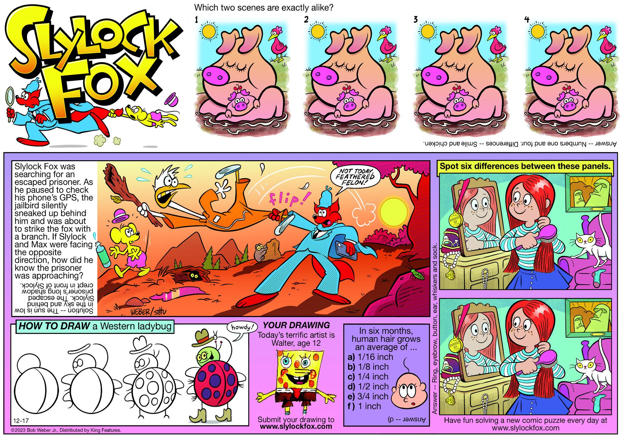 Design OCR: SlyLock FOX. Slylock Fox was searching for an escaped prisoner. As he paused to check his phone's GPSthe jailbird silently sneaked up behind him and was about to strike the fox with a branch. If Slylock and Max were facing the opposite directionhow did he know the prisoner was approaching? po to a Mopes bo 83 de puqeq pue Ays @??! uolingos WEBER/stu HOW TO DRAW a Western ladybug Mos un 800 12-17 ©2023 Bob Weber Jr.Distributed by King Features. Which two scenes are exactly alike? 1 00 2 V/ flip! howdy! YOUR DRAWING Today's terrific artist is Walterage 12 Submit your drawing to www.slylockfox.com NOT TODAY. FEATHERED FELON! V/ In six monthshuman hair grows an average of ... a) 1/16 inch b) 1/8 inch c) 1/4 inch d) 1/2 inch e) 3/4 inch f) 1 inch ( a per a tot el q Answer - Ringwhiskers and sock. 1/2 RUNNER Spot six differences between these panels. RUNNER 1/ Have fun solving a new comic puzzle every day at www.slylockfox.com SlyLock FOX . Slylock Fox was searching for an escaped prisoner . As he paused to check his phone's GPSthe jailbird silently sneaked up behind him and was about to strike the fox with a branch . If Slylock and Max were facing the opposite directionhow did he know the prisoner was approaching ? po to a Mopes bo 83 de puqeq pue Ays @ ?? ! uolingos WEBER / stu HOW TO DRAW a Western ladybug Mos un 800 12-17 © 2023 Bob Weber Jr.Distributed by King Features . Which two scenes are exactly alike ? 1 00 2 V / flip ! howdy ! YOUR DRAWING Today's terrific artist is Walterage 12 Submit your drawing to www.slylockfox.com NOT TODAY . FEATHERED FELON ! V / In six monthshuman hair grows an average of ... a ) 1/16 inch b ) 1/8 inch c ) 1/4 inch d ) 1/2 inch e ) 3/4 inch f ) 1 inch ( a per a tot el q Answer - Ringwhiskers and sock . 1 / 2 RUNNER Spot six differences between these panels . RUNNER 1 / Have fun solving a new comic puzzle every day at www.slylockfox.com