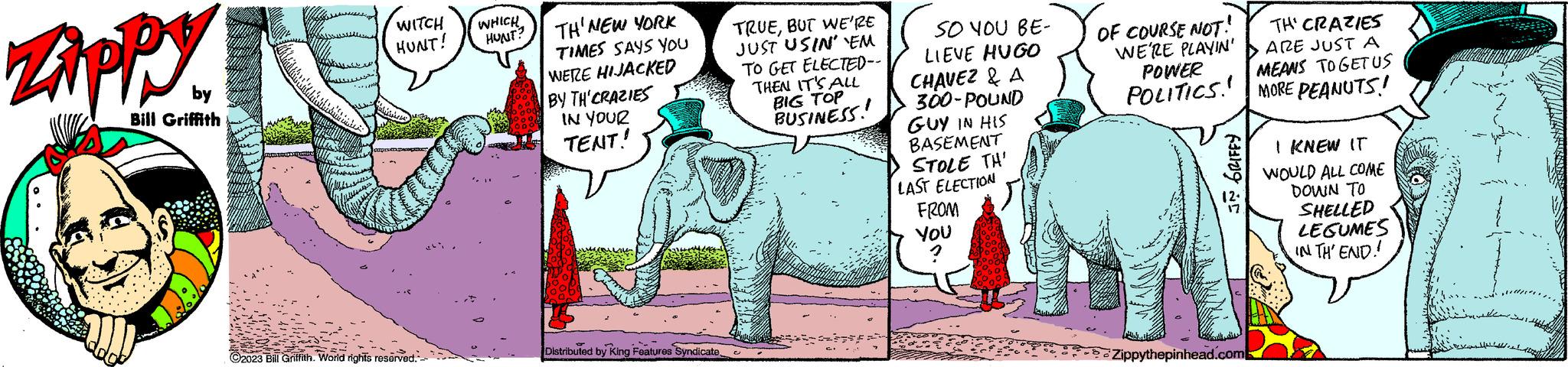 Terrestrial animal OCR: ZAPPY by Bill Griffith WITCH HUNT! ?2023 Bill Griffith. World rights reserved. WHICH HUNT? TH' NEW YORK TIMES SAYS YOU WERE HIJACKED BY TH'CRAZIES IN YOUR TENT! Distributed by King Features SyndicateBUT WE'RE JUST USIN' 'EM TO GET ELECTED-- THEN IT'S ALL BIG TOP BUSINESS! SO YOU BE- LIEVE HUGO CHAVEZ & A 300-POUND GUY IN HIS BASEMENT STOLE TH' LAST ELECTION FROM YOU OF COURSE NOT! WE'RE PLAYIN' POWER TH' CRAZIES ARE JUST A MEANS TOGET US POLITICS MORE PEANUTS! FIND Zippythepinhead.com I KNEW IT WOULD ALL COME DOWN TO SHELLED LEGUMES IN TH' END! ZAPPY by Bill Griffith WITCH HUNT ! ?2023 Bill Griffith . World rights reserved . WHICH HUNT ? TH ' NEW YORK TIMES SAYS YOU WERE HIJACKED BY TH'CRAZIES IN YOUR TENT ! Distributed by King Features SyndicateBUT WE'RE JUST USIN ' ' EM TO GET ELECTED- THEN IT'S ALL BIG TOP BUSINESS ! SO YOU BE LIEVE HUGO CHAVEZ & A 300 - POUND GUY IN HIS BASEMENT STOLE TH ' LAST ELECTION FROM YOU OF COURSE NOT ! WE'RE PLAYIN ' POWER TH ' CRAZIES ARE JUST A MEANS TOGET US POLITICS MORE PEANUTS ! FIND Zippythepinhead.com I KNEW IT WOULD ALL COME DOWN TO SHELLED LEGUMES IN TH ' END !