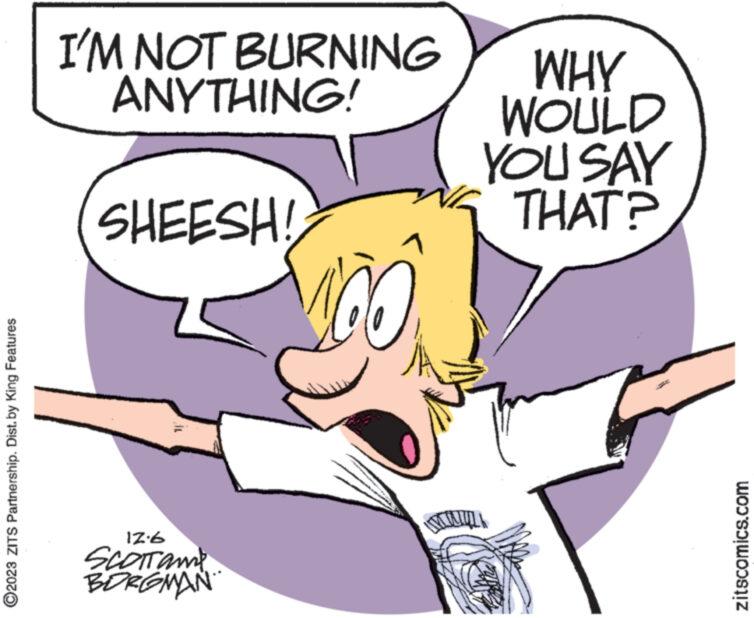 Line OCR: ?2023 ZITS Partnership. Dist. by King Features I'M NOT BURNING ANYTHING! SHEESH! 11 12.6 SCOTTON BORGMAN VOO WOULD YOU SAY THAT? *** zitscomics.com ?2023 ZITS Partnership . Dist . by King Features I'M NOT BURNING ANYTHING ! SHEESH ! 11 12.6 SCOTTON BORGMAN VOO WOULD YOU SAY THAT ? *** zitscomics.com