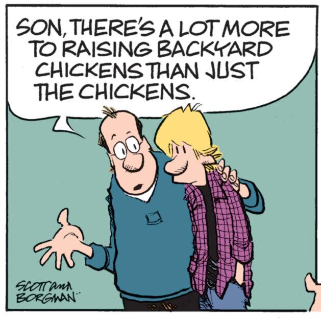 Illustration OCR: SONTHERE'S A LOT MORE TO RAISING BACKYARD CHICKENS THAN JUST THE CHICKENS. s Eu SCOTT AND BORGMAN Home SONTHERE'S A LOT MORE TO RAISING BACKYARD CHICKENS THAN JUST THE CHICKENS . s Eu SCOTT AND BORGMAN Home