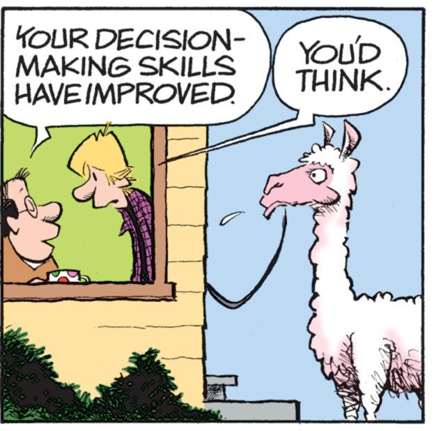 Rectangle OCR: ANN YOUR DECISION- MAKING SKILLS HAVE IMPROVED. YOU'D THINK. www. ANN YOUR DECISION MAKING SKILLS HAVE IMPROVED . YOU'D THINK . www .