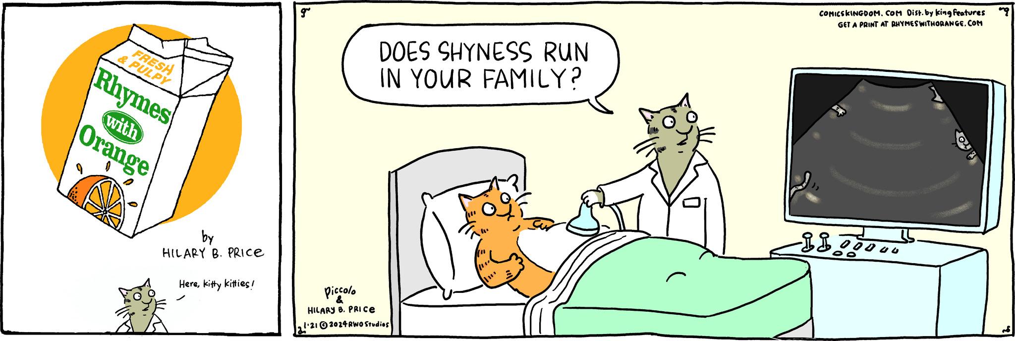 Gesture OCR: FRESH & PULPY Rhymes with Orange by HILARY B. PRICE Herekitty kitties! DOES SHYNESS RUN IN YOUR FAMILY? Piccolo HILARY B. PRICE 1.212024 RWO Studios COMICSKINGDOM. COM Dist. by king features GET A PRINT AT RHYMES WITHORANGE.COM -Lio 0000 O FRESH & PULPY Rhymes with Orange by HILARY B. PRICE Herekitty kitties ! DOES SHYNESS RUN IN YOUR FAMILY ? Piccolo HILARY B. PRICE 1.212024 RWO Studios COMICSKINGDOM . COM Dist . by king features GET A PRINT AT RHYMES WITHORANGE.COM -Lio 0000 O