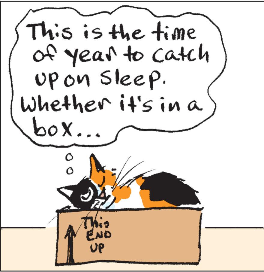 Felidae OCR: 1 This is the time of year to catch up on sleep. Whether it's in a box... 0 This END UP 1 This is the time of year to catch up on sleep . Whether it's in a box ... 0 This END UP