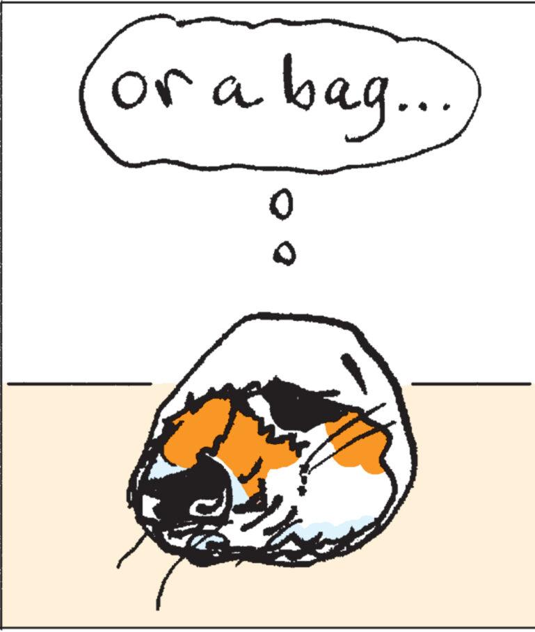 Drawing OCR: or a bag.... 0 0 or a bag .... 0 0