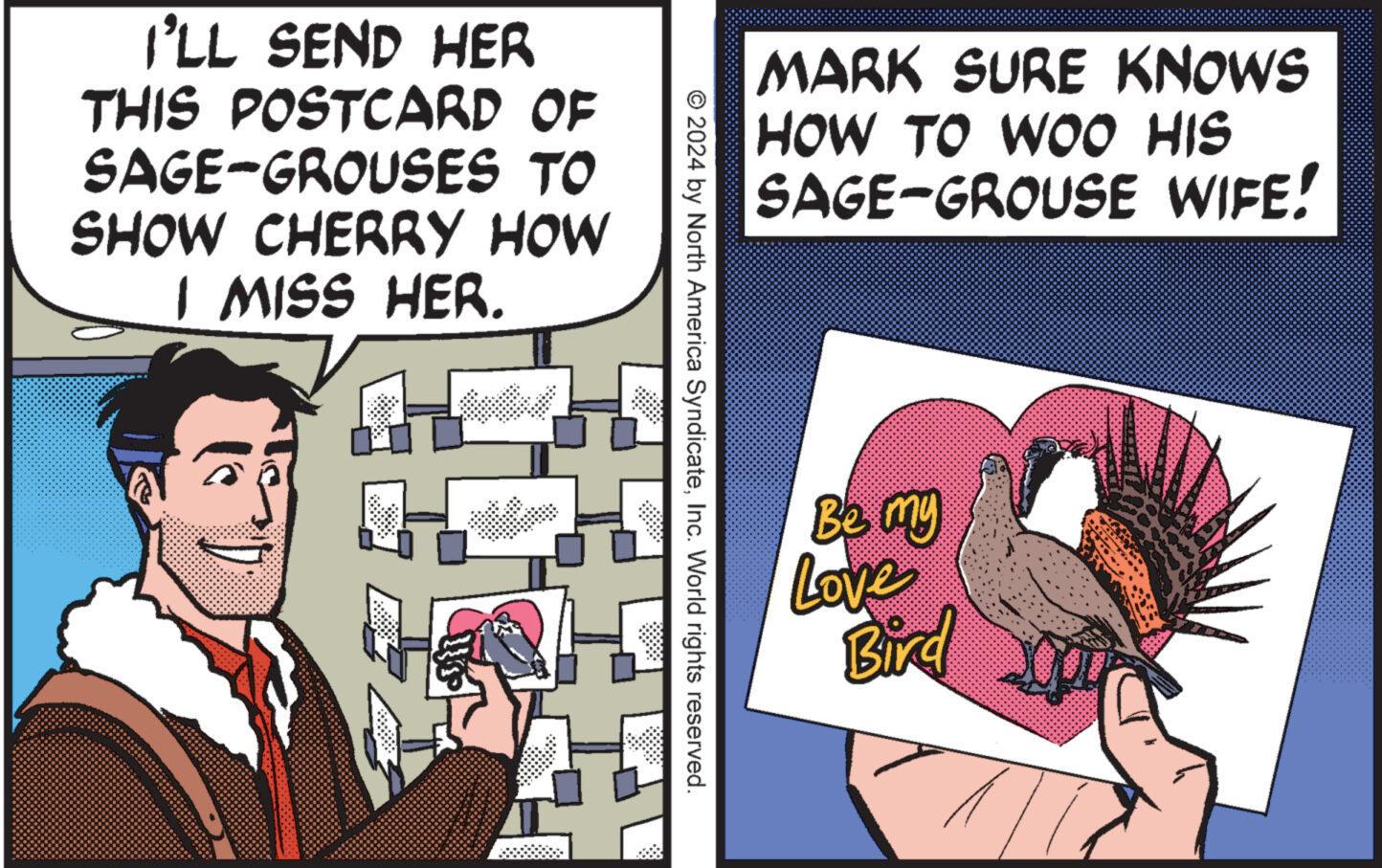 Art OCR: I'LL SEND HER THIS POSTCARD OF SAGE-GROUSES TO SHOW CHERRY HOW I MISS HER. © 2024 by North America SyndicateInc. World rights reserved. MARK SURE KNOWS HOW TO WOO HIS SAGE-GROUSE WIFE! Be my Love Bird I'LL SEND HER THIS POSTCARD OF SAGE - GROUSES TO SHOW CHERRY HOW I MISS HER . © 2024 by North America SyndicateInc. World rights reserved . MARK SURE KNOWS HOW TO WOO HIS SAGE - GROUSE WIFE ! Be my Love Bird
