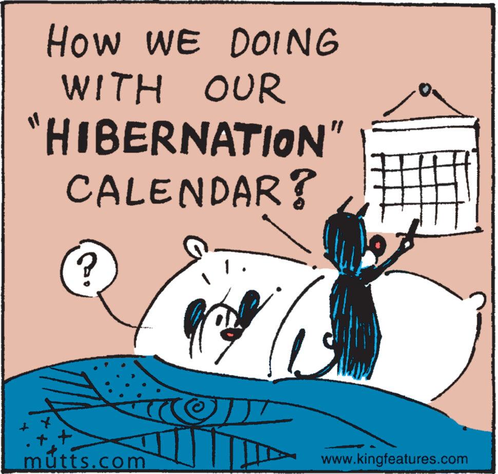 Fictional character OCR: HOW WE DOING WITH OUR "HIBERNATION" CALENDAR? ? mutts.com J www.kingfeatures.com HOW WE DOING WITH OUR " HIBERNATION " CALENDAR ? ? mutts.com J www.kingfeatures.com