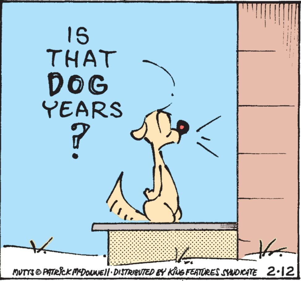 Art OCR: IS THAT DOG YEARS ? "1 Hr MUTTS © PATRICK MCDONNE||· DISTRIBUTED BY KING FEATURES SYNDICATE 2.12 IS THAT DOG YEARS ? "1 Hr MUTTS © PATRICK MCDONNE || · DISTRIBUTED BY KING FEATURES SYNDICATE 2.12