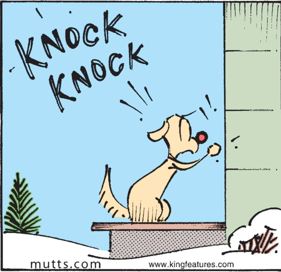 Carnivore OCR: KNOCK KNOCK mutts.com || www.kingfeatures.com MIXE KNOCK KNOCK mutts.com || www.kingfeatures.com MIXE