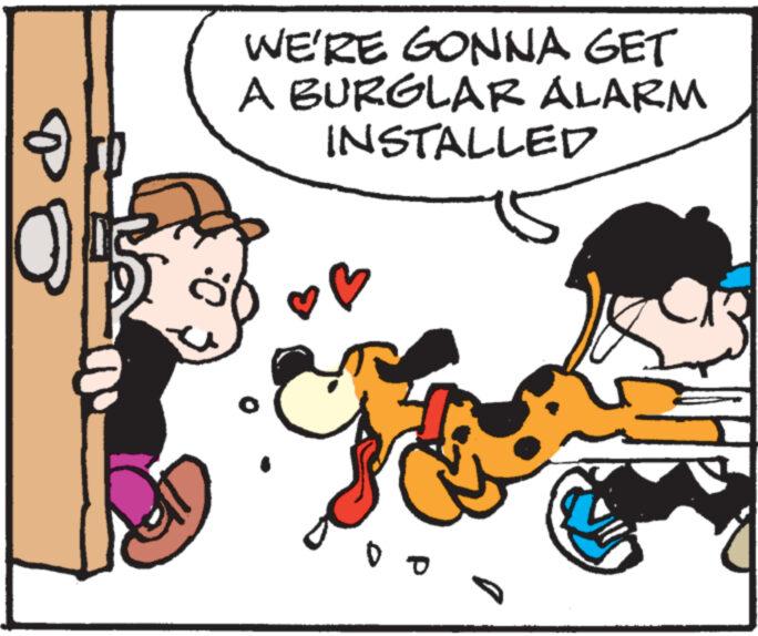 Mammal OCR: O WE'RE GONNA GET A BURGLAR ALARM INSTALLED Do O WE'RE GONNA GET A BURGLAR ALARM INSTALLED Do