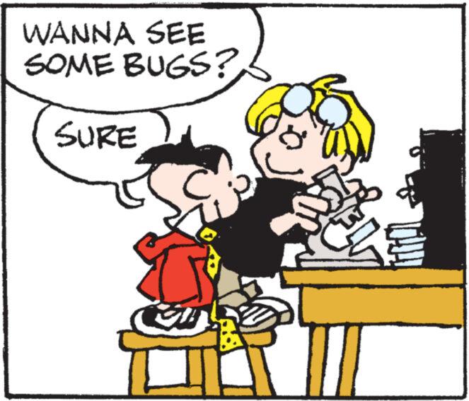 Interaction OCR: WANNA SEE SOME BUGS? SURE O r WANNA SEE SOME BUGS ? SURE O r