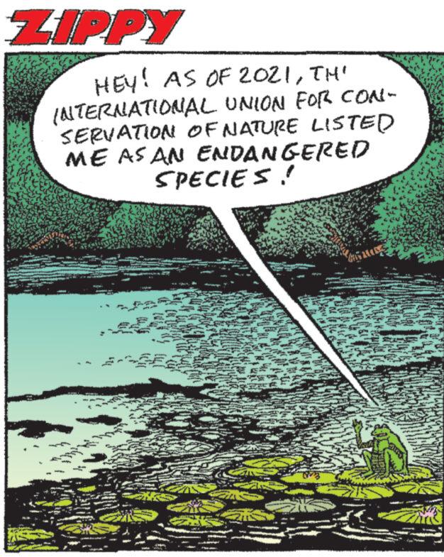 Publication OCR: ZIPPY HEY! AS OF 2021THI INTERNATIONAL UNION FOR CON- SERVATION OF NATURE LISTED ME AS AN ENDANGERED Po LADY € FINAN SPECIES! HE 2 ZIPPY HEY ! AS OF 2021THI INTERNATIONAL UNION FOR CON SERVATION OF NATURE LISTED ME AS AN ENDANGERED Po LADY € FINAN SPECIES ! HE 2