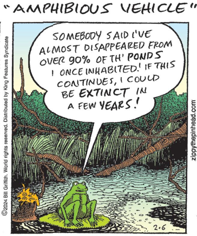 Slope OCR: ?2024 Bill Griffith. World rights reserved. Distributed by King Features Syndicate AMPHIBIOUS VEHICLE" SOMEBODY SAID I'VE ALMOST DISAPPEARED FROM OVER 90% OF TH' PONDS I ONCE INHABITED! IF THIS CONTINUESI COULD BE EXTINCT IN A FEW YEARS! 2.6 zippythepinhead.com ?2024 Bill Griffith . World rights reserved . Distributed by King Features Syndicate AMPHIBIOUS VEHICLE " SOMEBODY SAID I'VE ALMOST DISAPPEARED FROM OVER 90 % OF TH ' PONDS I ONCE INHABITED ! IF THIS CONTINUESI COULD BE EXTINCT IN A FEW YEARS ! 2.6 zippythepinhead.com