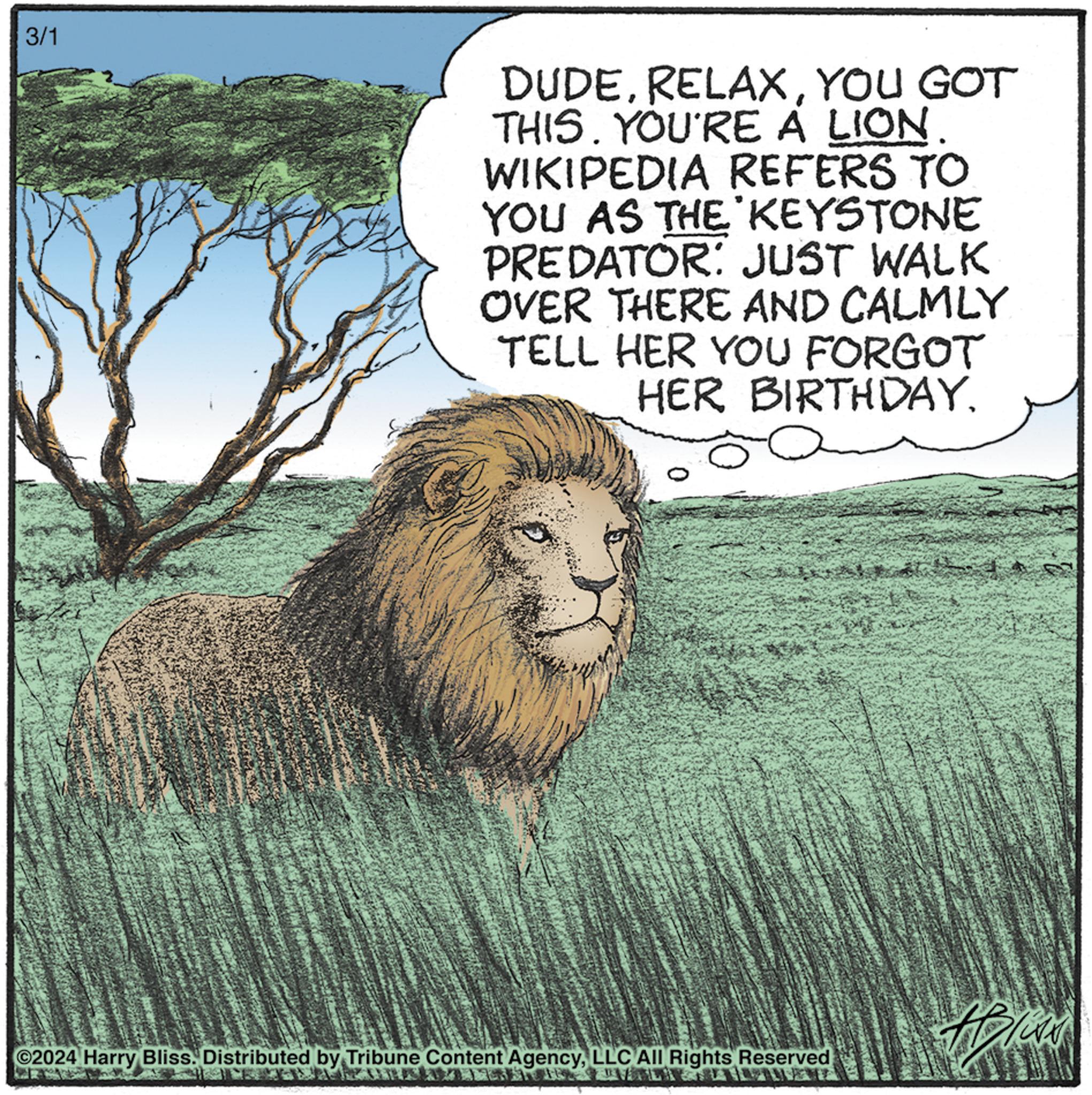 Snout OCR: 3/1 DUDEYOU GOT THIS. YOU'RE A LION WIKIPEDIA REFERS TO YOU AS THE KEYSTONE PREDATOR: JUST WALK OVER THERE AND CALMLY TELL HER YOU FORGOT HER BIRTHDAY. ?2024 Harry Bliss. Distributed by Tribune Content AgencyLLC All Rights Reserved Helen 3/1 DUDEYOU GOT THIS . YOU'RE A LION WIKIPEDIA REFERS TO YOU AS THE KEYSTONE PREDATOR : JUST WALK OVER THERE AND CALMLY TELL HER YOU FORGOT HER BIRTHDAY . ?2024 Harry Bliss . Distributed by Tribune Content AgencyLLC All Rights Reserved Helen