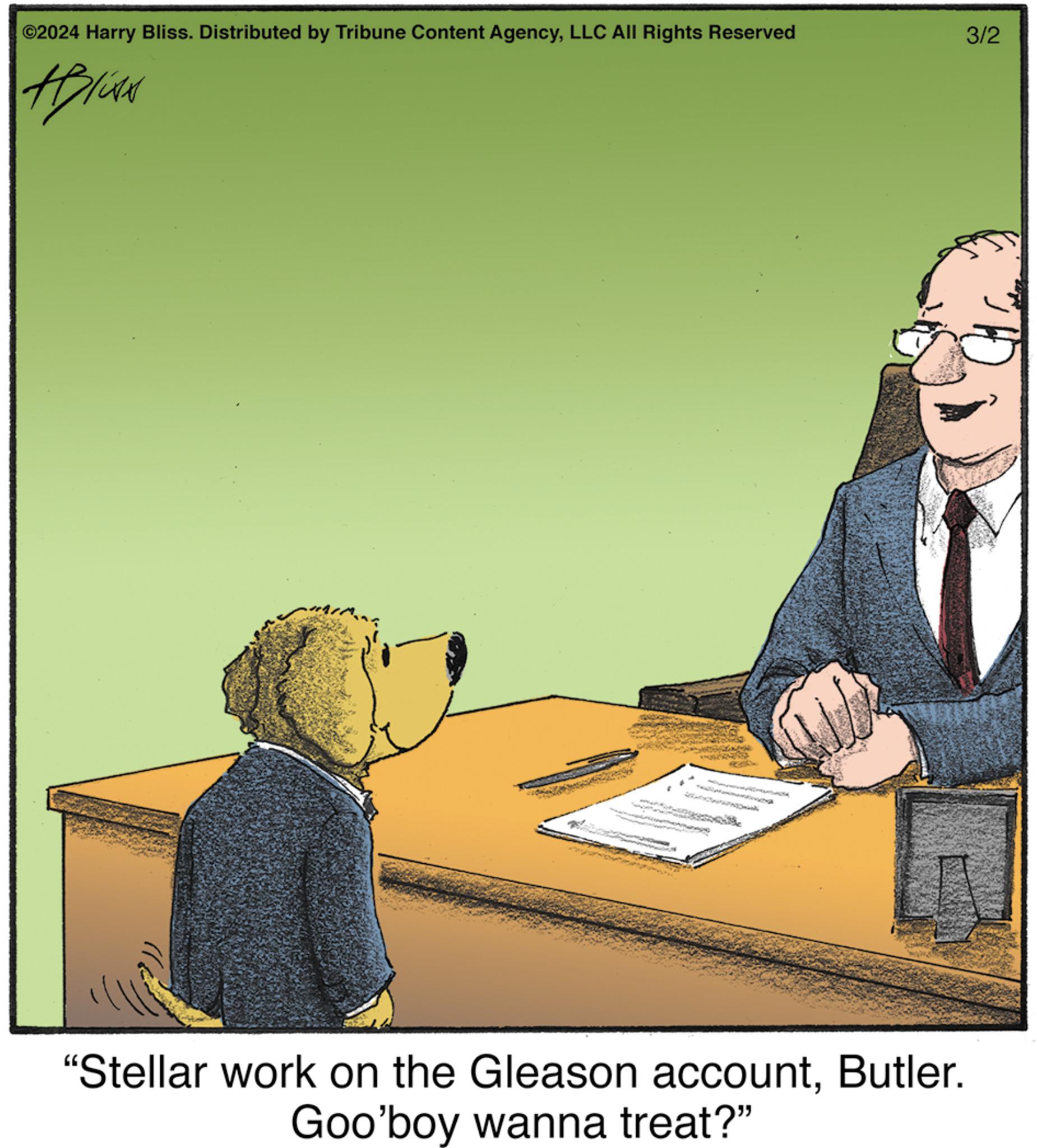 Illustration OCR: ©2024 Harry Bliss. Distributed by Tribune Content AgencyLLC All Rights Reserved HINN b "Stellar work on the Gleason accountButler. Goo'boy wanna treat?" 3/2 © 2024 Harry Bliss . Distributed by Tribune Content AgencyLLC All Rights Reserved HINN b " Stellar work on the Gleason accountButler . Goo'boy wanna treat ? " 3/2