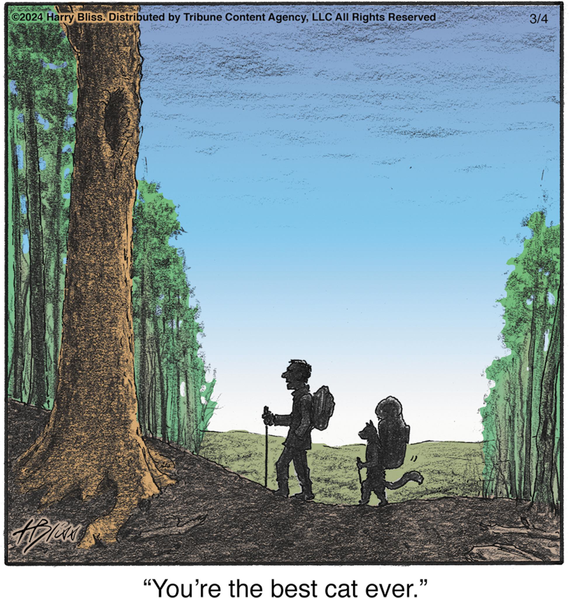 Wood OCR: ?2024 Harry Bliss. Distributed by Tribune Content AgencyLLC All Rights Reserved TADION "You're the best cat ever." 3/4 ?2024 Harry Bliss . Distributed by Tribune Content AgencyLLC All Rights Reserved TADION " You're the best cat ever . " 3/4