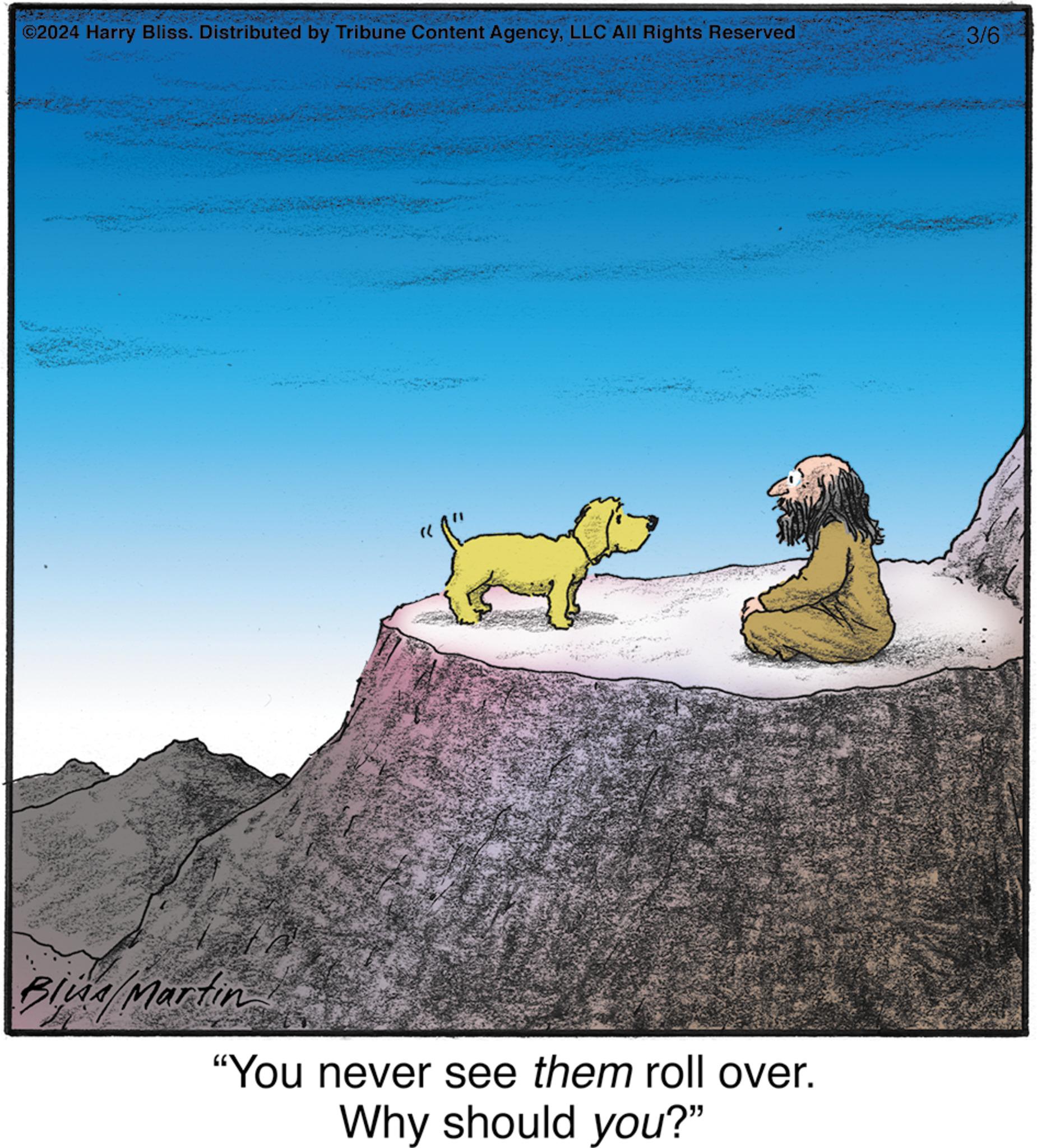 Painting OCR: ?2024 Harry Bliss. Distributed by Tribune Content AgencyLLC All Rights Reserved Have Blusa/Martin f "You never see them roll over. Why should you?" 3/6 BONGO ?2024 Harry Bliss . Distributed by Tribune Content AgencyLLC All Rights Reserved Have Blusa / Martin f " You never see them roll over . Why should you ? " 3/6 BONGO