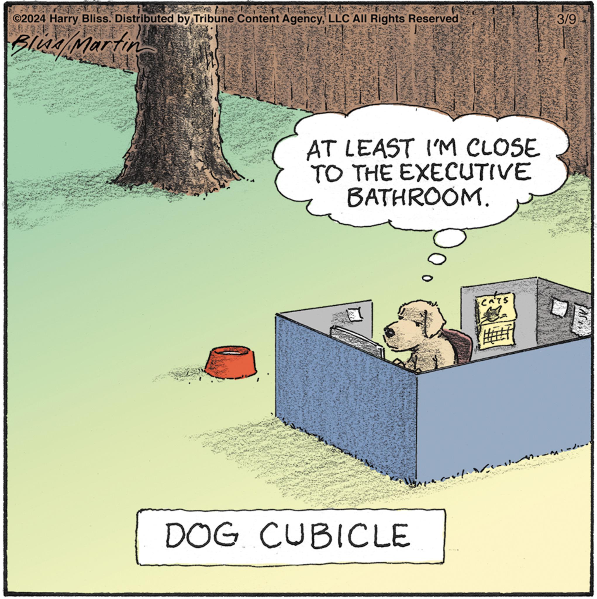 Conversation OCR: ©2024 Harry Bliss. Distributed by Tribune Content AgencyLLC All Rights Reserved Bling/ Martin AT LEAST I'M CLOSE TO THE EXECUTIVE BATHROOM. DOG CUBICLE CATS Hot 3/9 AC © 2024 Harry Bliss . Distributed by Tribune Content AgencyLLC All Rights Reserved Bling / Martin AT LEAST I'M CLOSE TO THE EXECUTIVE BATHROOM . DOG CUBICLE CATS Hot 3/9 AC