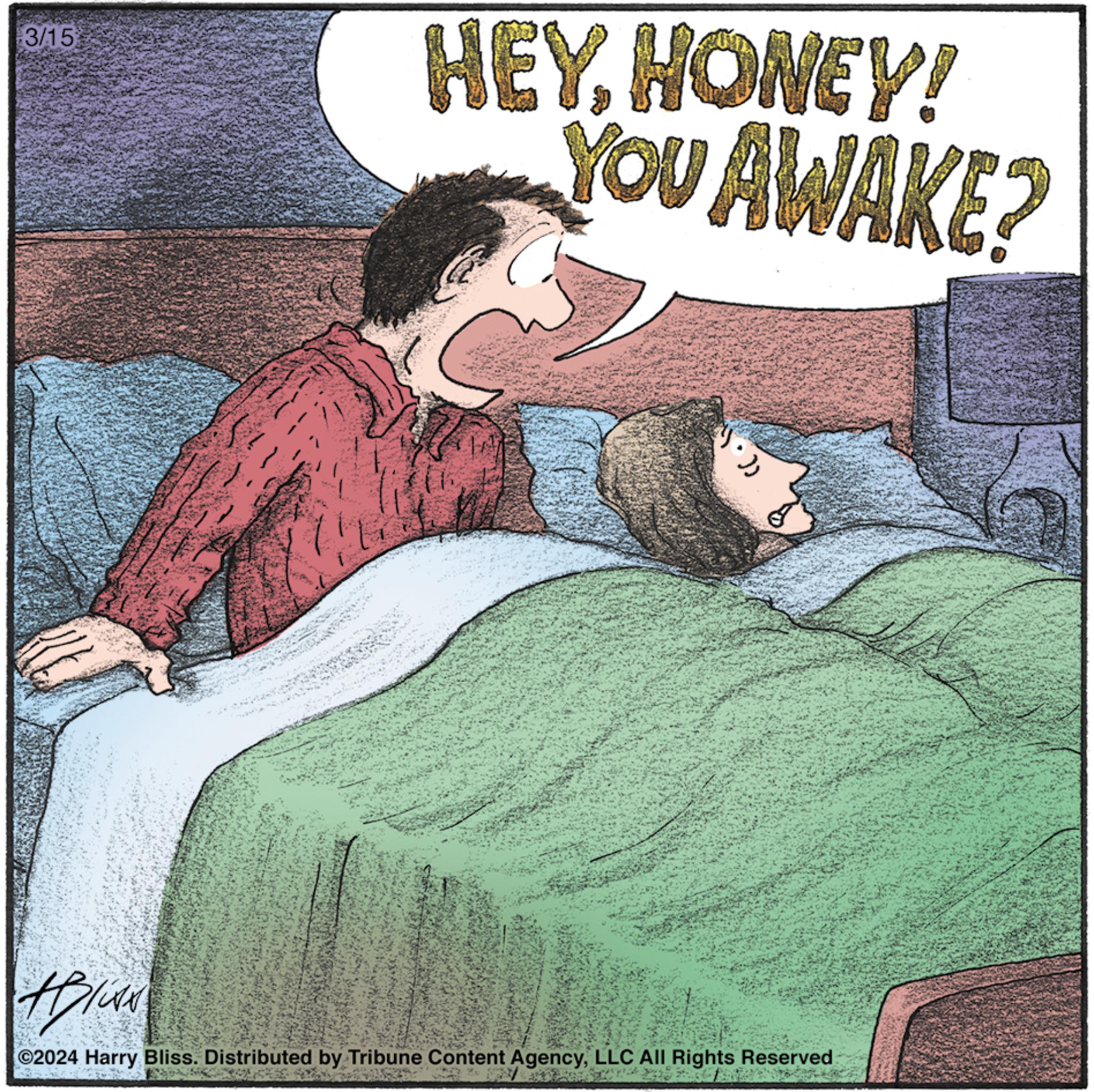 Fiction OCR: 3/15 115² HEYHONEY! YOU AWAKE? 17 $(6 (+)) HIN ?2024 Harry Bliss. Distributed by Tribune Content AgencyLLC All Rights Reserved 3/15 115² HEYHONEY ! YOU AWAKE ? 17 $ ( 6 ( + ) ) HIN ?2024 Harry Bliss . Distributed by Tribune Content AgencyLLC All Rights Reserved