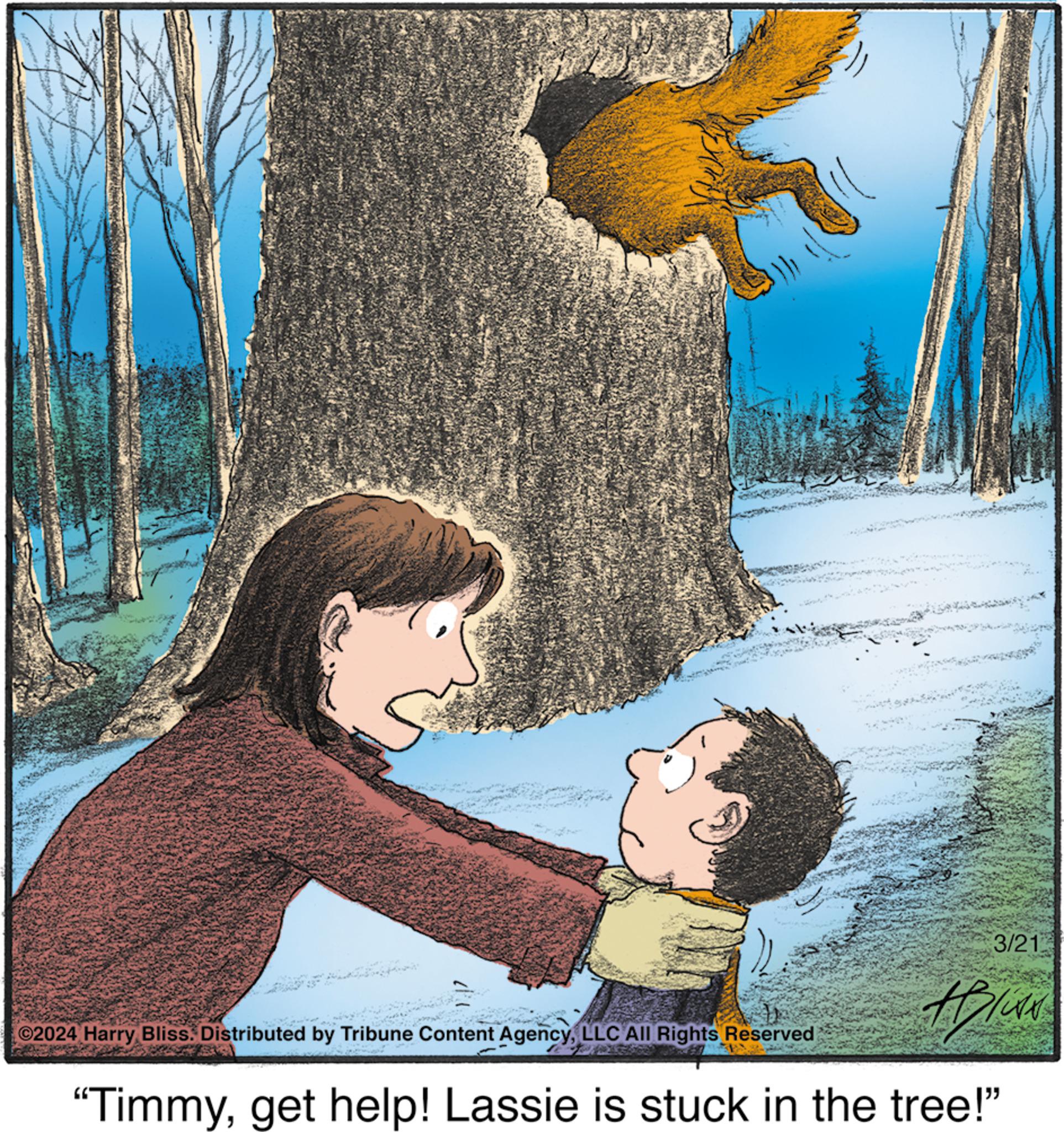 Art OCR: ©2024 Harry Bliss. Distributed by Tribune Content AgencyLLC All Rights Reserved 3/21 Blu "Timmyget help! Lassie is stuck in the tree!" © 2024 Harry Bliss . Distributed by Tribune Content AgencyLLC All Rights Reserved 3/21 Blu " Timmyget help ! Lassie is stuck in the tree ! "