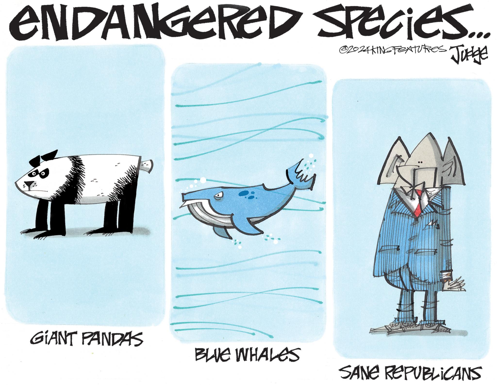 Working animal OCR: ENDANGERED SPECIES.... 21 ©2024KING FEATURES Judge GIANT PANDAS BLUE WHALES SANE REPUBLICANS ENDANGERED SPECIES .... 21 © 2024KING FEATURES Judge GIANT PANDAS BLUE WHALES SANE REPUBLICANS