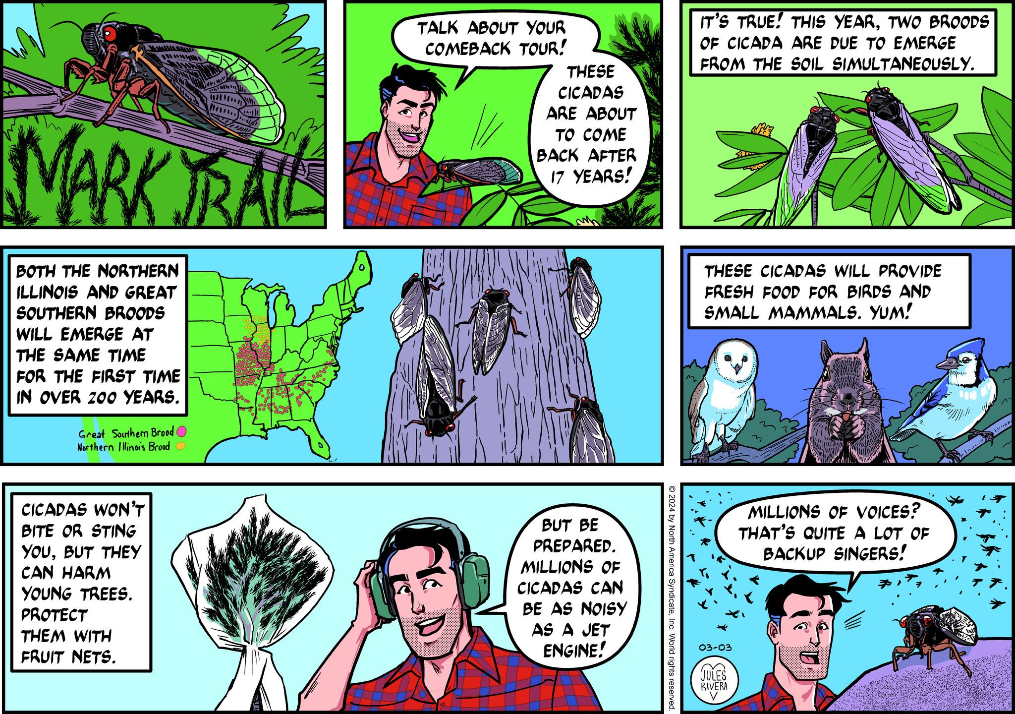Font OCR: FOND MARK TRAIL BOTH THE NORTHERN ILLINOIS AND GREAT SOUTHERN BROODS WILL EMERGE AT THE SAME TIME FOR THE FIRST TIME IN OVER 200 YEARS. Great Southern Brood Northern Illinois Brood O CICADAS WON'T BITE OR STING YOUBUT THEY CAN HARM YOUNG TREES. PROTECT THEM WITH FRUIT NETS. an +^+1)! I hope TALK ABOUT YOUR COMEBACK TOUR! THESE CICADAS ARE ABOUT TO COME BACK AFTER 17 YEARS! BUT BE PREPARED. MILLIONS OF CICADAS CAN BE AS NOISY AS A JET ENGINE! O 2024 by North America SyndicateInc. World rights reserved. IT'S TRUE! THIS YEARTWO BROODS OF CICADA ARE DUE TO EMERGE FROM THE SOIL SIMULTANEOUSLY. THESE CICADAS WILL PROVIDE FRESH FOOD FOR BIRDS AND SMALL MAMMALS. YUM! 03-03 JULES RIVERA V MILLIONS OF VOICES? THAT'S QUITE A LOT OF BACKUP SINGERS! J. IND FOND MARK TRAIL BOTH THE NORTHERN ILLINOIS AND GREAT SOUTHERN BROODS WILL EMERGE AT THE SAME TIME FOR THE FIRST TIME IN OVER 200 YEARS . Great Southern Brood Northern Illinois Brood O CICADAS WON'T BITE OR STING YOUBUT THEY CAN HARM YOUNG TREES . PROTECT THEM WITH FRUIT NETS . an + ^ + 1 ) ! I hope TALK ABOUT YOUR COMEBACK TOUR ! THESE CICADAS ARE ABOUT TO COME BACK AFTER 17 YEARS ! BUT BE PREPARED . MILLIONS OF CICADAS CAN BE AS NOISY AS A JET ENGINE ! O 2024 by North America SyndicateInc. World rights reserved . IT'S TRUE ! THIS YEARTWO BROODS OF CICADA ARE DUE TO EMERGE FROM THE SOIL SIMULTANEOUSLY . THESE CICADAS WILL PROVIDE FRESH FOOD FOR BIRDS AND SMALL MAMMALS . YUM ! 03-03 JULES RIVERA V MILLIONS OF VOICES ? THAT'S QUITE A LOT OF BACKUP SINGERS ! J. IND