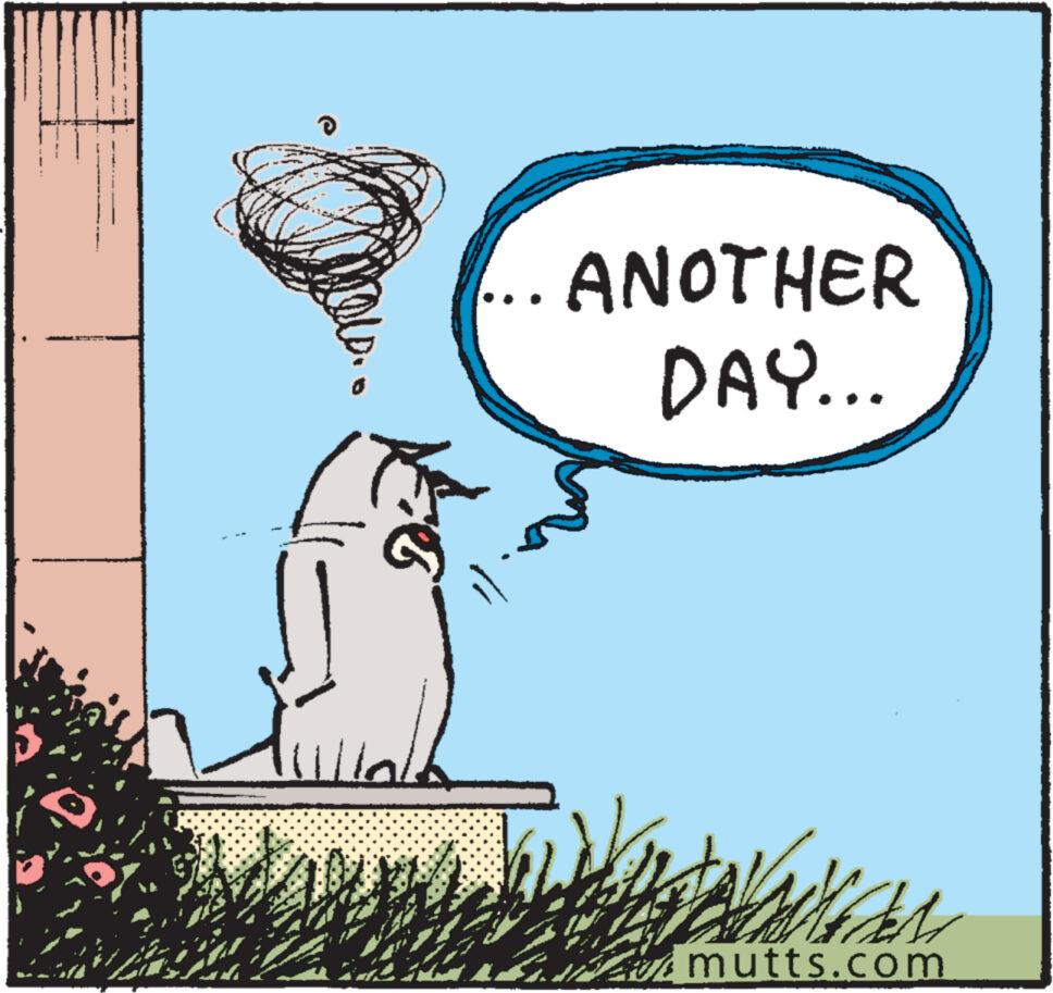 Illustration OCR: alb ANOTHER DAY... Parts mutts.com alb ANOTHER DAY ... Parts mutts.com