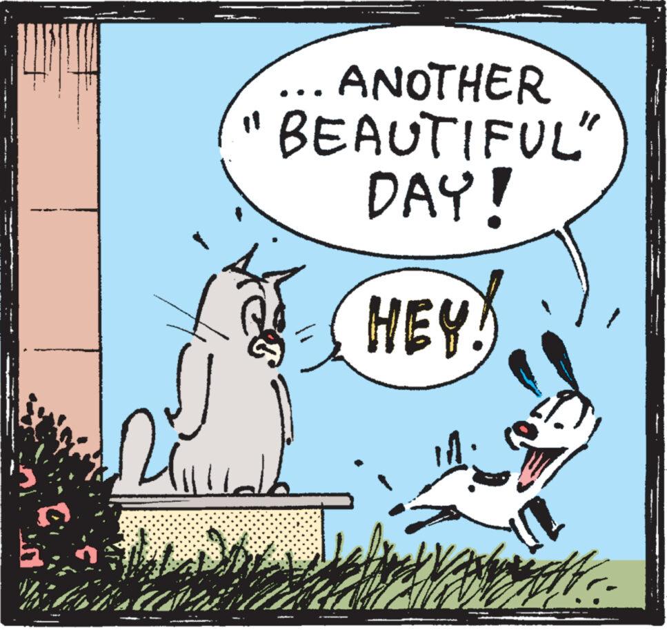 Art OCR: Ri 4.64 Whats ANOTHER BEAUTIFUL" DAY! HEY! d n PetVarveandtta eff. Ri 4.64 Whats ANOTHER BEAUTIFUL " DAY ! HEY ! d n PetVarveandtta eff .