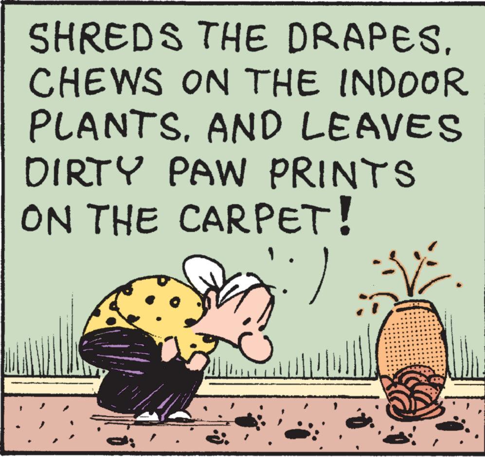 Illustration OCR: SHREDS THE DRAPESCHEWS ON THE INDOOR PLANTSAND LEAVES DIRTY PAW PRINTS ON THE CARPET! 1 SHREDS THE DRAPESCHEWS ON THE INDOOR PLANTSAND LEAVES DIRTY PAW PRINTS ON THE CARPET ! 1