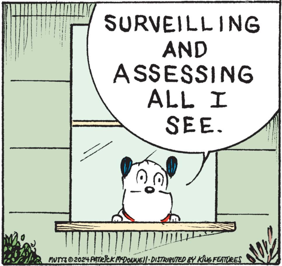 Art OCR: SURVEILLING AND ASSESSING ALL I SEE. ? MUTTS © 2024 PATRICK MCDONWE||· DISTRIBUTED BY KING FEATURES SURVEILLING AND ASSESSING ALL I SEE . ? MUTTS © 2024 PATRICK MCDONWE || · DISTRIBUTED BY KING FEATURES