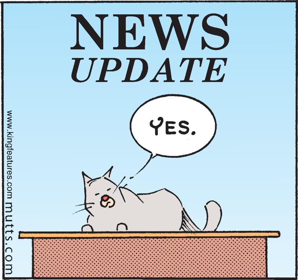 Recent Updates @ Comics Kingdom
