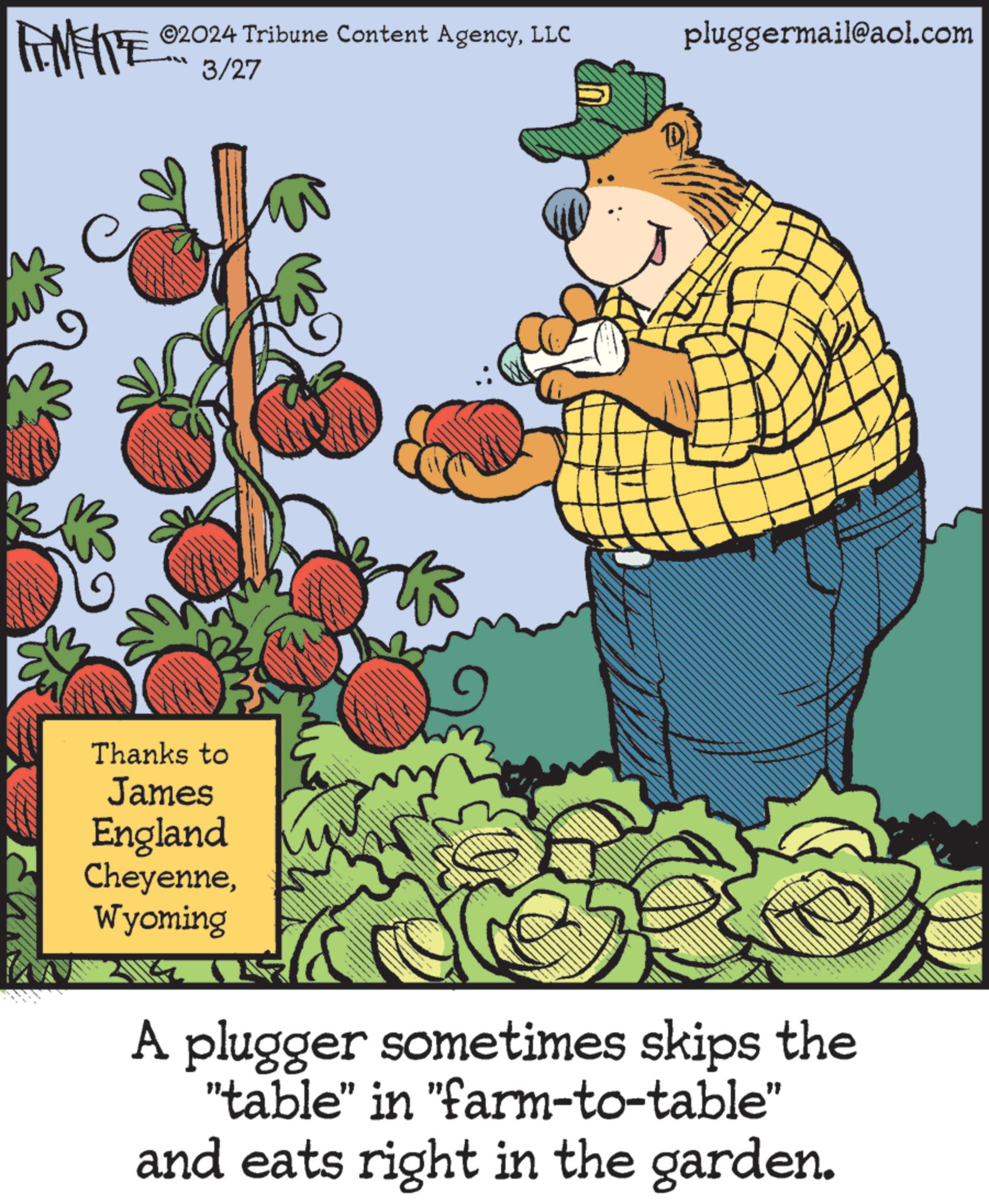 Illustration OCR: ZU WY ©2024 Tribune Content AgencyLLC 3/27 pluggermail@aol.com Thanks to James England CheyenneWyoming A plugger sometimes skips the "table" in "farm-to-table" and eats right in the garden. ZU WY © 2024 Tribune Content AgencyLLC 3/27 pluggermail@aol.com Thanks to James England CheyenneWyoming A plugger sometimes skips the " table " in " farm - to - table " and eats right in the garden .