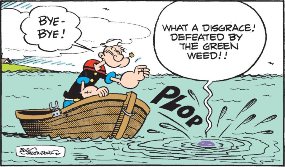 Naval architecture OCR: BYE- BYE! BUDAGENDORF WHAT A DISGRACE! DEFEATED BY THE GREEN WEED!! OR PLOP BYE- BYE ! BUDAGENDORF WHAT A DISGRACE ! DEFEATED BY THE GREEN WEED !! OR PLOP