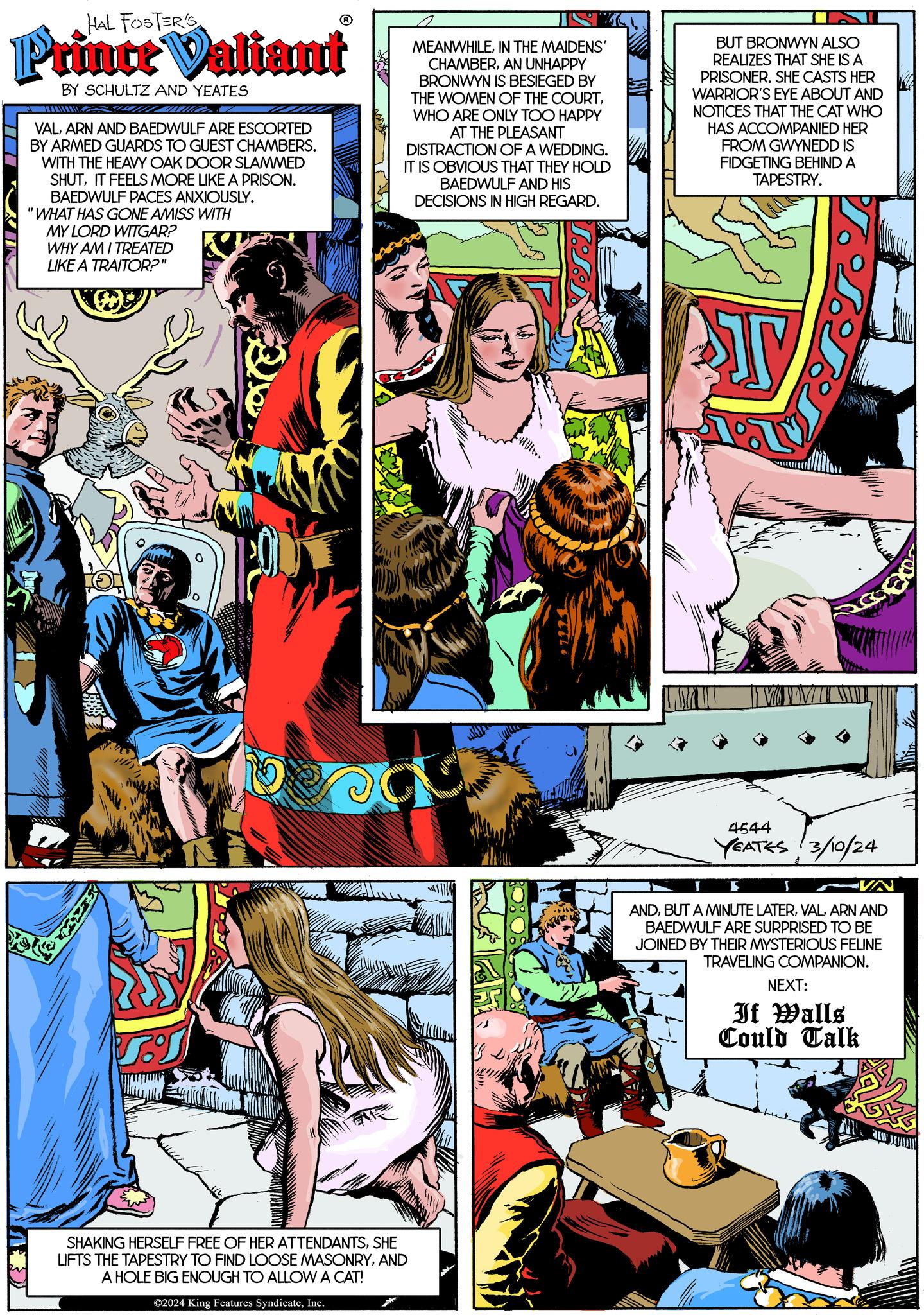 Parallel OCR: HAL FOSTER'S Prince Valiant BY SCHULTZ AND YEATES ? VALARN AND BAEDWULF ARE ESCORTED BY ARMED GUARDS TO GUEST CHAMBERS. WITH THE HEAVY OAK DOOR SLAMMED SHUTIT FEELS MORE LIKE A PRISON. BAEDWULF PACES ANXIOUSLY. 'WHAT HAS GONE AMISS WITH MY LORD WITGAR? WHY AM I TREATED LIKE A TRAITOR?" MEANWHILEIN THE MAIDENS' CHAMBERAN UNHAPPY BRONWYN IS BESIEGED BY THE WOMEN OF THE COURTWHO ARE ONLY TOO HAPPY AT THE PLEASANT DISTRACTION OF A WEDDING. IT IS OBVIOUS THAT THEY HOLD BAEDWULF AND HIS DECISIONS IN HIGH REGARD. SHAKING HERSELF FREE OF HER ATTENDANTSSHE LIFTS THE TAPESTRY TO FIND LOOSE MASONRYAND A HOLE BIG ENOUGH TO ALLOW A CAT! ©2024 King Features SyndicateInc. BUT BRONWYN ALSO REALIZES THAT SHE IS A PRISONER. SHE CASTS HER WARRIOR'S EYE ABOUT AND NOTICES THAT THE CAT WHO HAS ACCOMPANIED HER FROM GWYNEDD IS FIDGETING BEHIND A TAPESTRY. T 4544 YEATES 3/10/24 VA ANDARN AND BAEDWULF ARE SURPRISED TO BE JOINED BY THEIR MYSTERIOUS FELINE TRAVELING COMPANION. NEXT: If Walls Could Talk HAL FOSTER'S Prince Valiant BY SCHULTZ AND YEATES ? VALARN AND BAEDWULF ARE ESCORTED BY ARMED GUARDS TO GUEST CHAMBERS . WITH THE HEAVY OAK DOOR SLAMMED SHUTIT FEELS MORE LIKE A PRISON . BAEDWULF PACES ANXIOUSLY . ' WHAT HAS GONE AMISS WITH MY LORD WITGAR ? WHY AM I TREATED LIKE A TRAITOR ? " MEANWHILEIN THE MAIDENS ' CHAMBERAN UNHAPPY BRONWYN IS BESIEGED BY THE WOMEN OF THE COURTWHO ARE ONLY TOO HAPPY AT THE PLEASANT DISTRACTION OF A WEDDING . IT IS OBVIOUS THAT THEY HOLD BAEDWULF AND HIS DECISIONS IN HIGH REGARD . SHAKING HERSELF FREE OF HER ATTENDANTSSHE LIFTS THE TAPESTRY TO FIND LOOSE MASONRYAND A HOLE BIG ENOUGH TO ALLOW A CAT ! © 2024 King Features SyndicateInc. BUT BRONWYN ALSO REALIZES THAT SHE IS A PRISONER . SHE CASTS HER WARRIOR'S EYE ABOUT AND NOTICES THAT THE CAT WHO HAS ACCOMPANIED HER FROM GWYNEDD IS FIDGETING BEHIND A TAPESTRY . T 4544 YEATES 3/10/24 VA ANDBUT A MINUTE LATERARN AND BAEDWULF ARE SURPRISED TO BE JOINED BY THEIR MYSTERIOUS FELINE TRAVELING COMPANION . NEXT : If Walls Could Talk