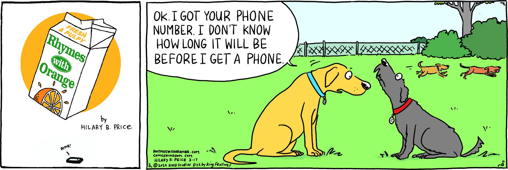 Tail OCR: FRESH & PULPY Rhymes with Orange RING! by HILARY B. PRICE OK. I GOT YOUR PHONE NUMBER. I DON'T KNOW HOW LONG IT WILL BE BEFORE I GET A PHONE. RHYMES WITHORANGE.COM COMICSKINGDOM.COM HILARY B. PRICE 3.17 22024 RWO Studios Dist. by king Features J an I FRESH & PULPY Rhymes with Orange RING ! by HILARY B. PRICE OK . I GOT YOUR PHONE NUMBER . I DON'T KNOW HOW LONG IT WILL BE BEFORE I GET A PHONE . RHYMES WITHORANGE.COM COMICSKINGDOM.COM HILARY B. PRICE 3.17 22024 RWO Studios Dist . by king Features J an I